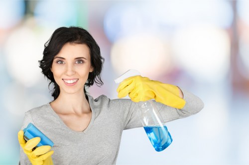 Carpet and upholstery stain removal services in Hendon