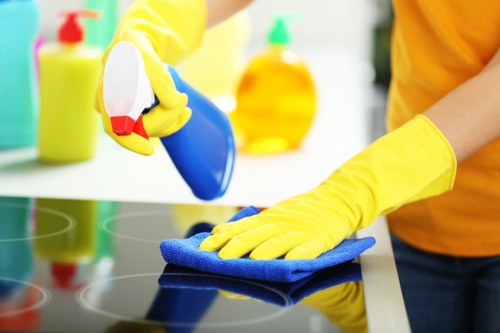 Local Hendon carpet cleaners working with care in a property