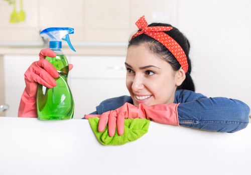 Carpet cleaning in Hendon with stain removal and care