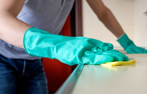 Specialist cleaning equipment for pet stain odour removal