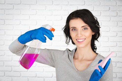 Cleaning service process for carpets and upholstery
