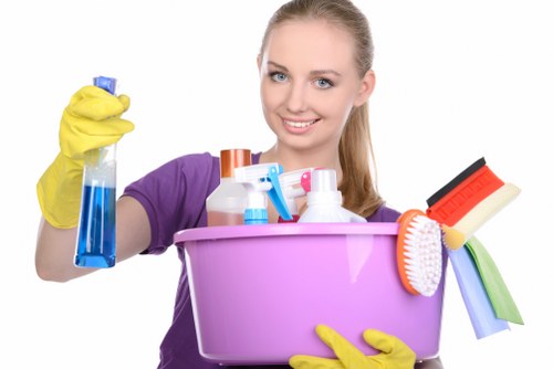 Deep cleaning carpet affected by pet urine in Hendon