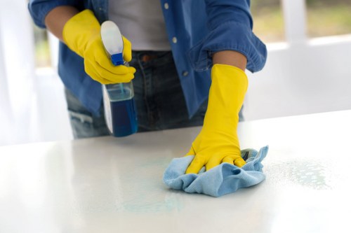 Professional mattress cleaning in Hendon for allergy relief